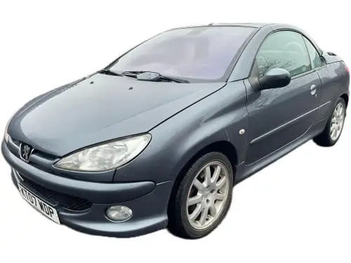 Peugeot 206 KT07 WDP