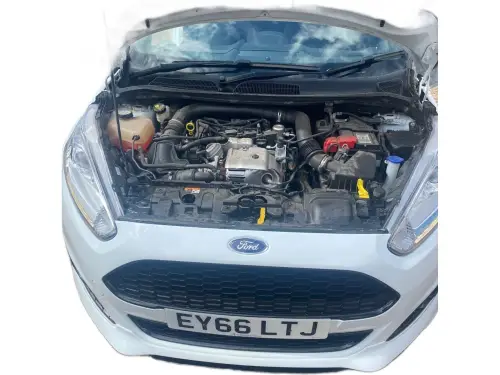 Ford Fiesta EY66 LTJ