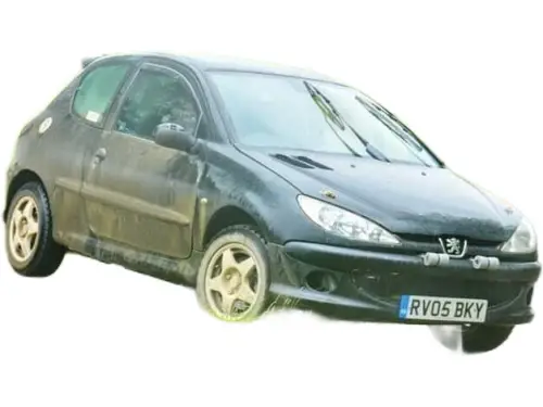 Peugeot 206 GTI 180 RV05 BKY