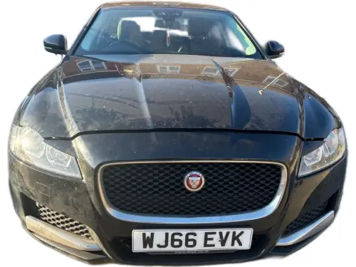 Jaguar XF WJ66 EVK