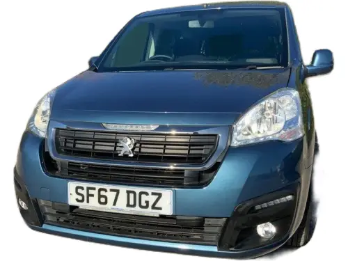 Peugeot Horizon RS Blue HDi S/S SF67 DGZ