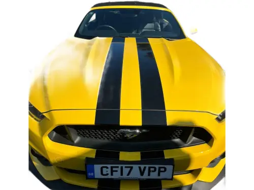 Ford Mustang GT CF17 VPP