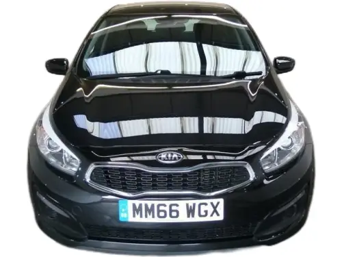 Kia Ceed MM66 WGX