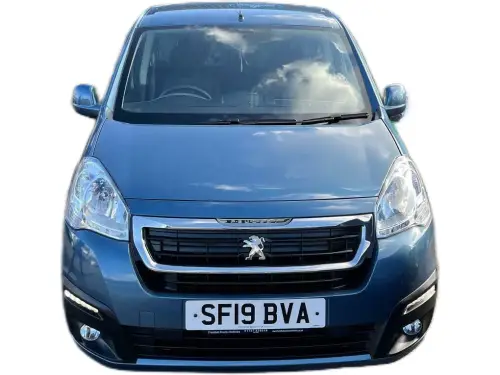 Peugeot Horizon RS Blue HDi S/S SF19 BVA