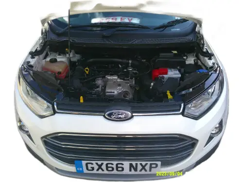Ford Ecosport GX66 NXP