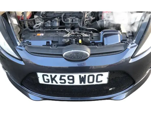 Ford Fiesta GK59 WOC