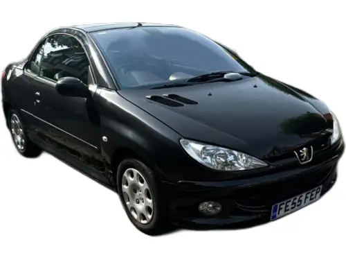 Peugeot 206 FE55 FEP