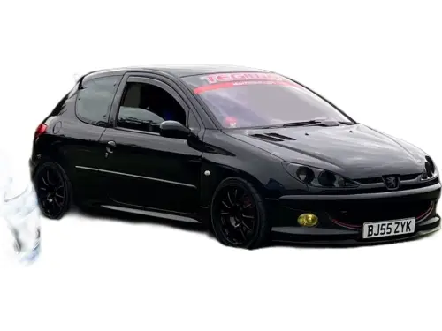 Peugeot 206 GTI 180 BJ55 ZYK