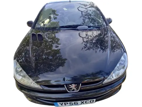 Peugeot 206 YP56 XCO