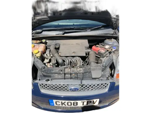 Ford Fiesta Style CK08 TPV