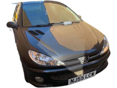 Peugeot 206 Sport NJ55 LCW