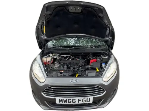 Ford Fiesta MW66 FGU
