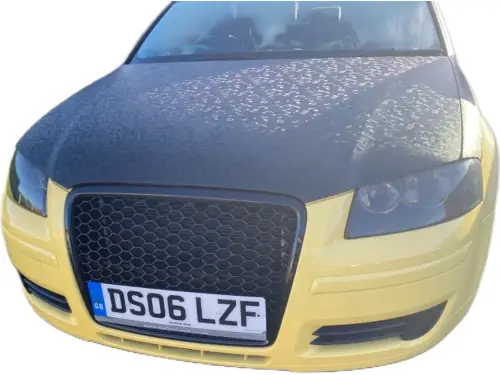 Audi A3 Special Edition DS06 LZF
