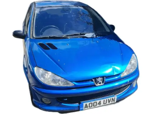 Peugeot 206 GTI AO04 UVN