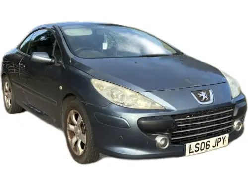 Peugeot 307 LS06 JPY