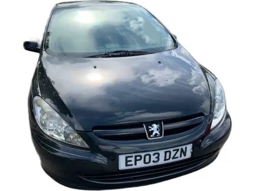 Peugeot 307 EP03 DZN