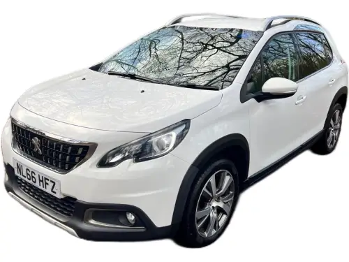 Peugeot 2008 NL66 HFZ