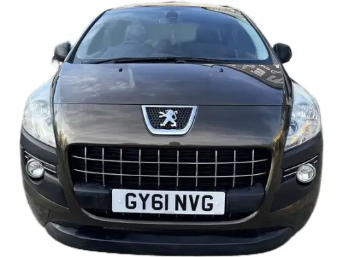Peugeot 3008 GY61 NVG