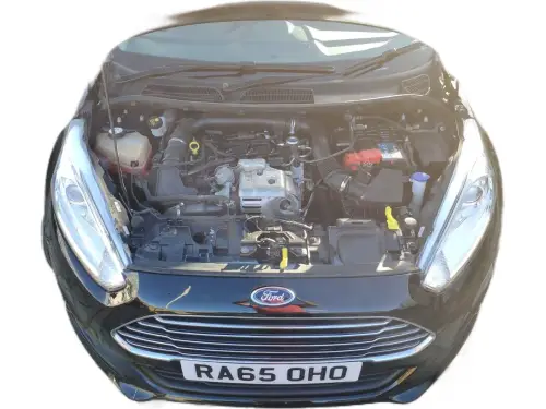 Ford Fiesta RA65 OHO