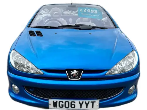 Peugeot 206 WG06 YYT