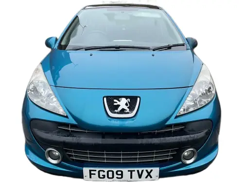 Peugeot 207 FG09 TVX