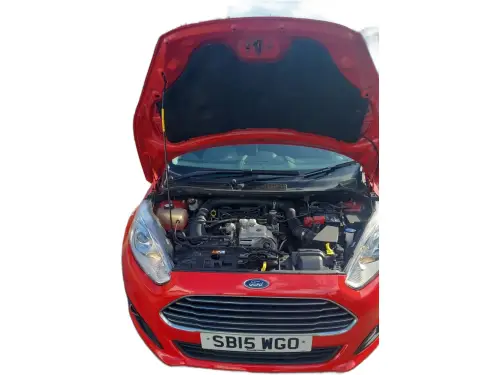 Ford Fiesta SB15 WGO