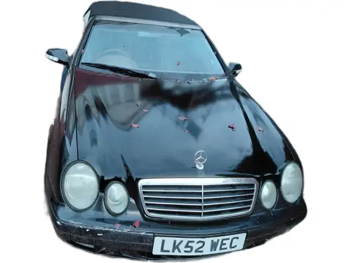 Mercedes-Benz CLK LK52 WEC