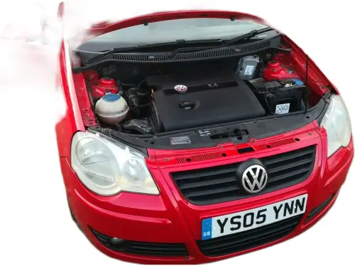 Volkswagen Polo S 75 YS05 YNN