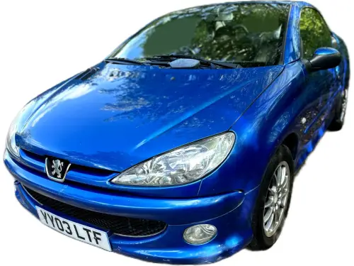 Peugeot 206 YY03 LTF