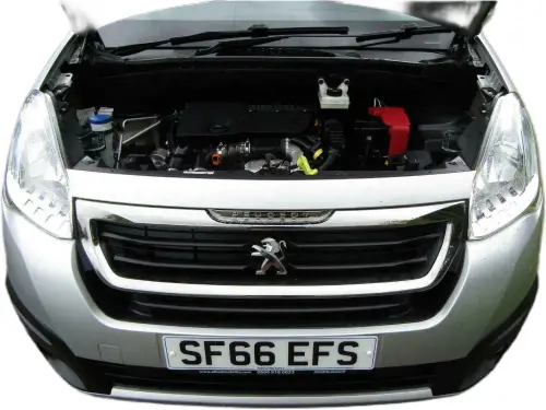 Peugeot Horizon SF66 EFS