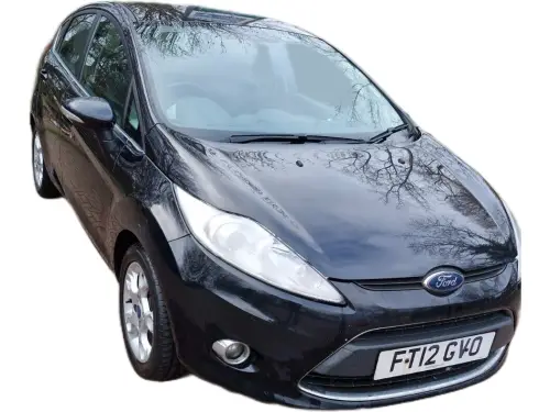 Ford Fiesta FT12 GVO