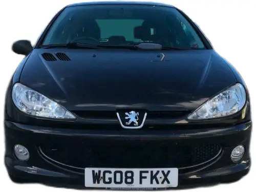 Peugeot 206 Look WG08 FKX