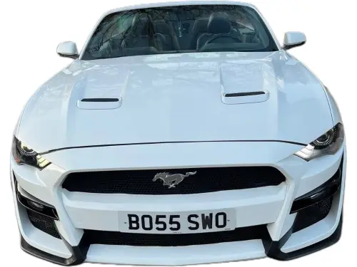 Ford Mustang BO55 SWO