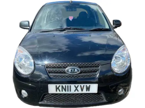 Kia Picanto Domino KN11 XVW