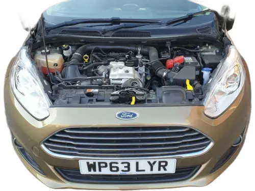 Ford Fiesta WP63 LYR