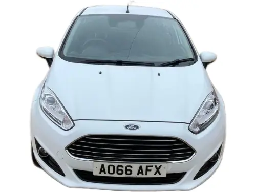 Ford Fiesta Zetec AO66 AFX