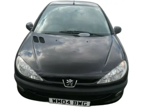 Peugeot 206 Zest WM04 BWG