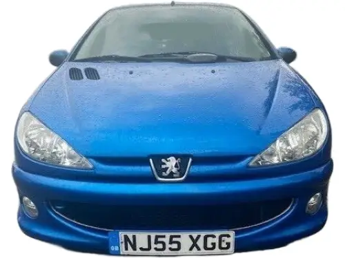 Peugeot 206 Zest 3 NJ55 XGG