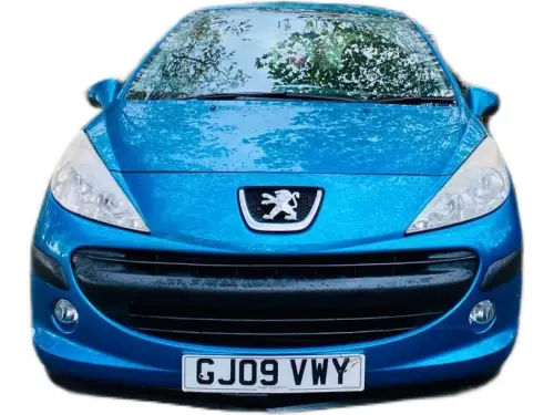 Peugeot 207 GJ09 VWY