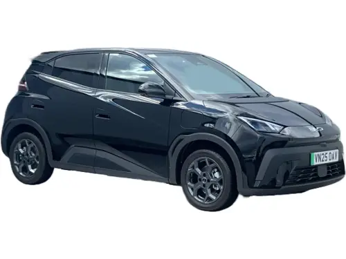 BYD Dolphin Surf Comfort EV VN25 OAV