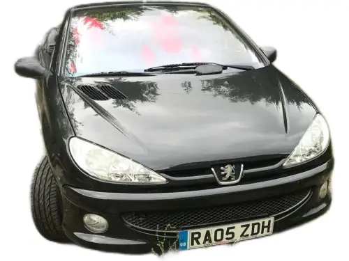 Peugeot 206 RA05 ZDH