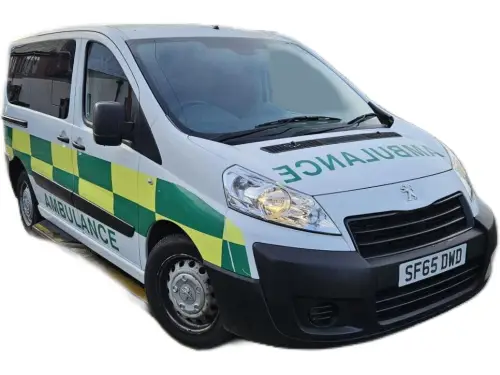 Peugeot Independence SF65 DWD