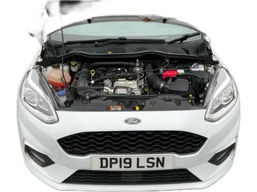 Ford Fiesta DP19 LSN