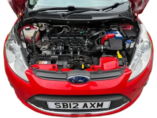 Ford Fiesta SB12 AXM