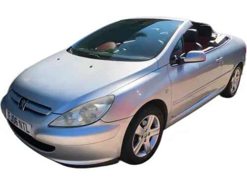 Peugeot 307 FJ06 NTL