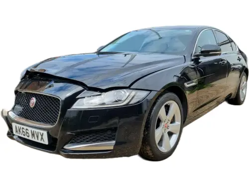 Jaguar XF AK66 MVX