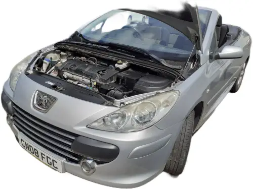 Peugeot 307 CN08 FGC