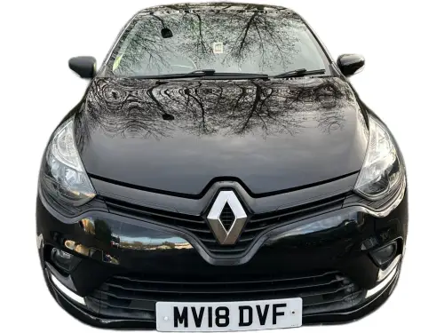 Renault Clio MV18 DVF