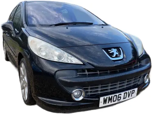 Peugeot 207 WM06 DVP
