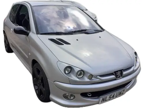 Peugeot 206 GTI 180 NL54 UWZ